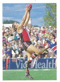1991 Select AFL Stickers #215 Tony Lockett Front